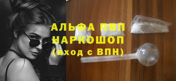 индика Баксан