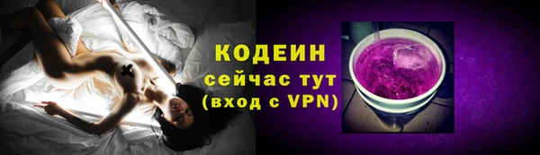 индика Баксан