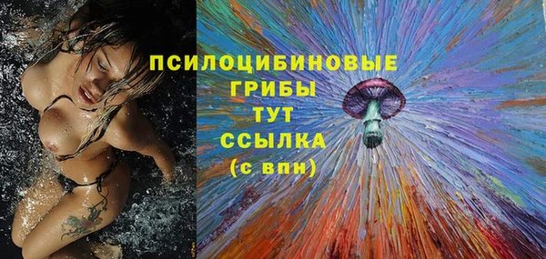 трава Арсеньев