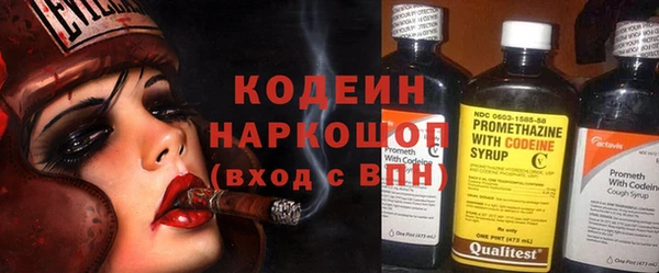 индика Баксан