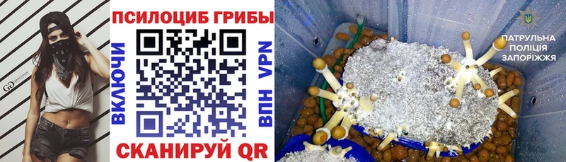 магазин  наркотиков  Белокуриха  OMG ССЫЛКА  Галлюциногенные грибы мухоморы 